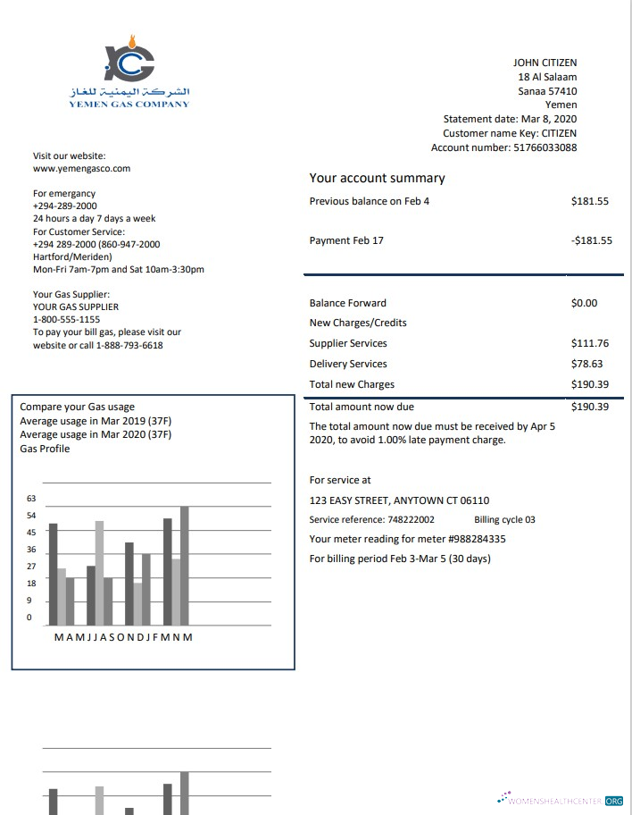 download download Yemen Gas Company utility bill template in Word and PDF format PDF template PDF template